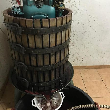 Agriturismo Il Melo Valfabbrica Εξωτερικό φωτογραφία