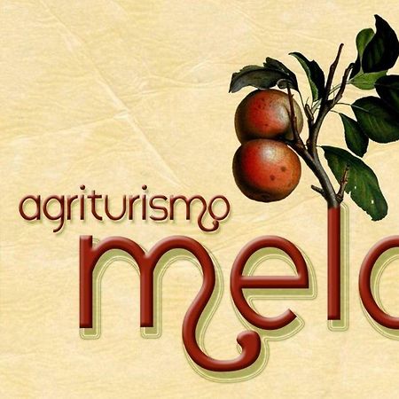 Agriturismo Il Melo Valfabbrica Εξωτερικό φωτογραφία