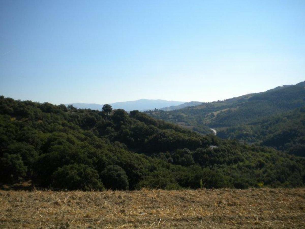 Agriturismo Il Melo Valfabbrica Εξωτερικό φωτογραφία