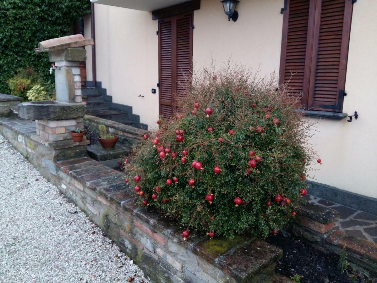 Agriturismo Il Melo Valfabbrica Εξωτερικό φωτογραφία
